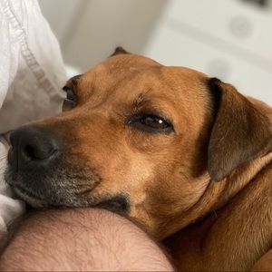 Meet your Posher, Nicholas